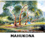 HAWAIIAN ART MAHUKONA